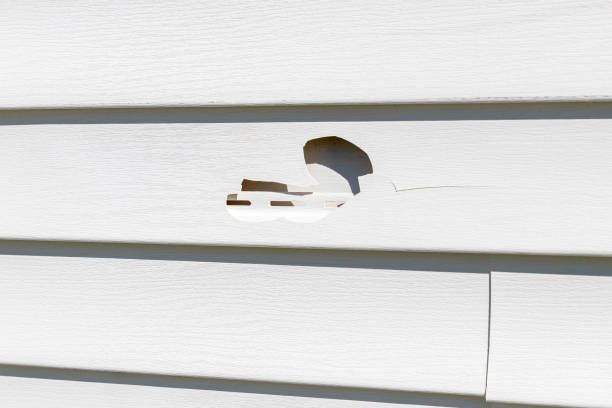 Best Hoarding Cleanup  in Ciborne, LA
